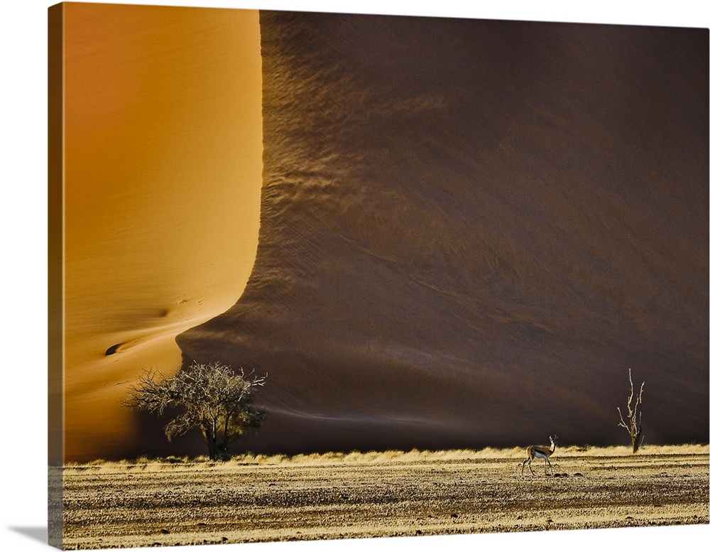 An antelope appears tiny in front of the massive sand dunes in the desert.