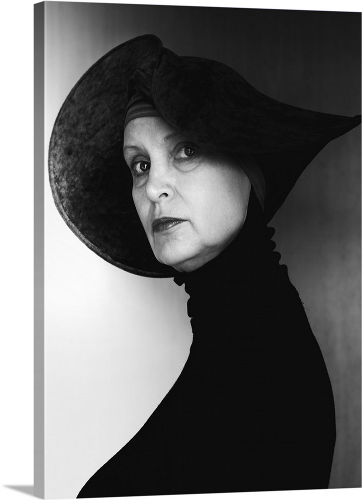 Homage To The Old Lady Wall Art, Canvas Prints, Framed Prints, Wall