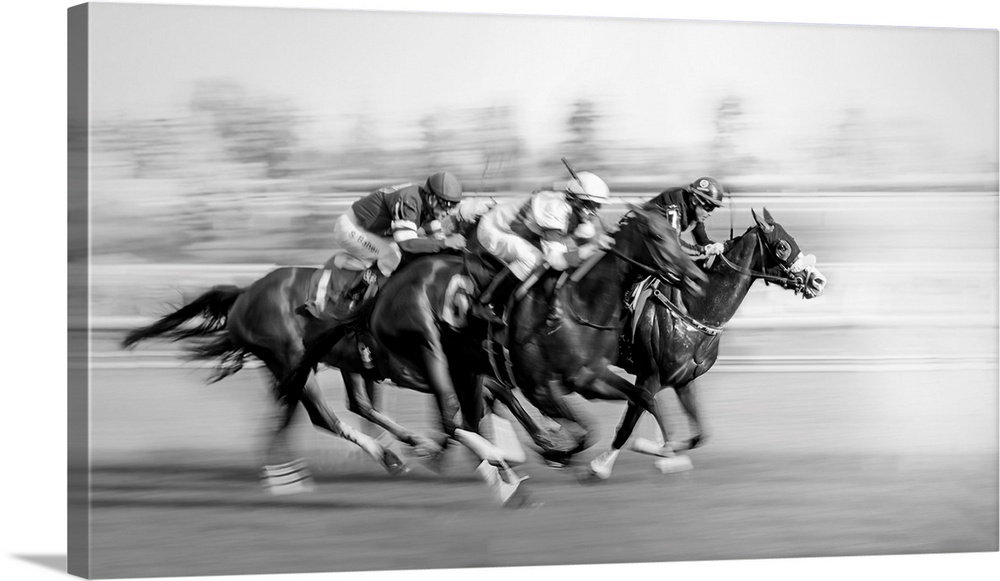 Horse Racing At Queen's Plate