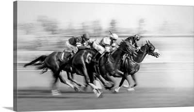 Horse Racing At Queen's Plate