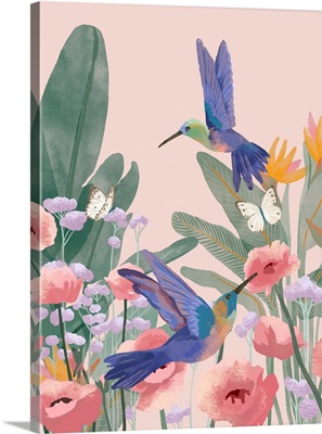 Hummingbirds