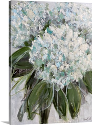 Hydrangea Blooms