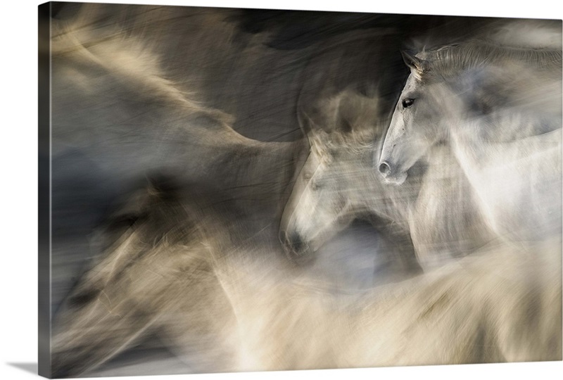 In Motion Wall Art, Canvas Prints, Framed Prints, Wall Peels Great
