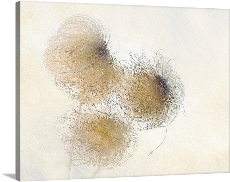 In The Wind | Great Big Canvas