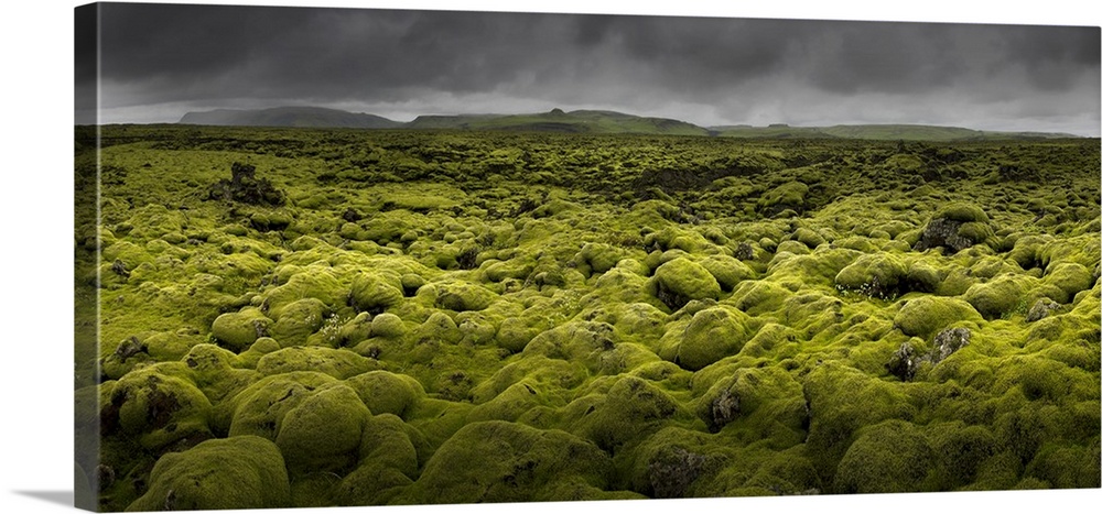An ethereal landscape of bright green moss, Iceland.