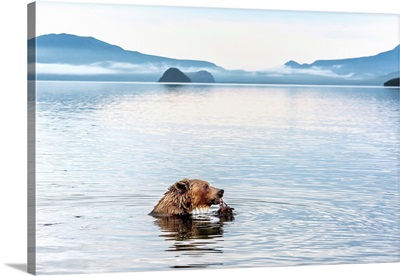 Kurile Lake