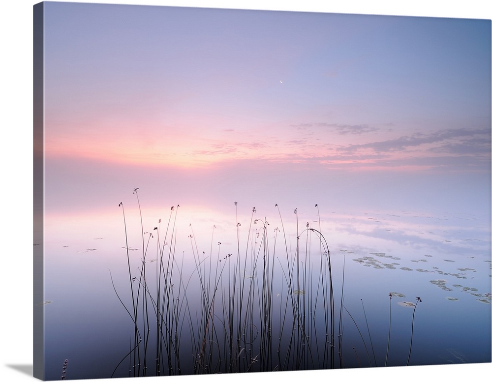 A misty lake and evening sky in pastel colors.