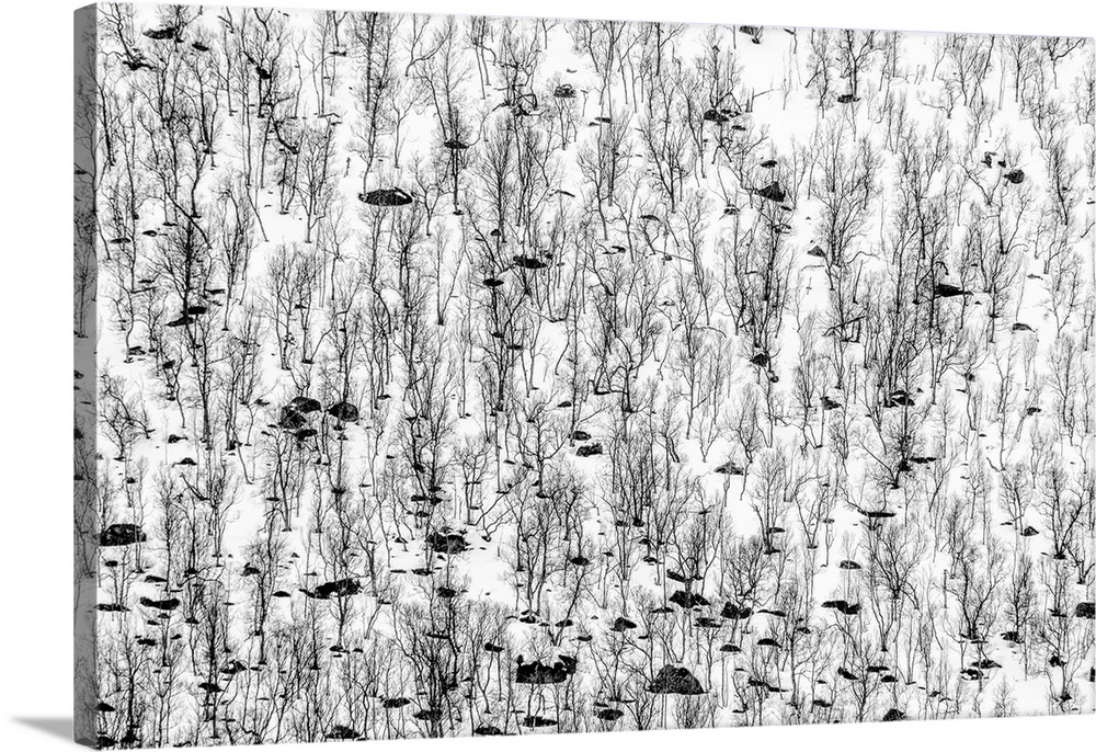 Little Trees Wall Art, Canvas Prints, Framed Prints, Wall Peels Great