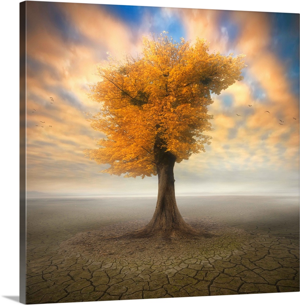 Conceptual image of a tree with fall leaves by itself in an arid desert, with colorful clouds above.