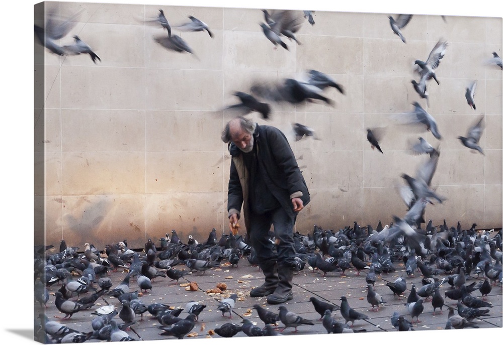 An elderly man feeds a large flock of pigeons, with several flying in the air around him.