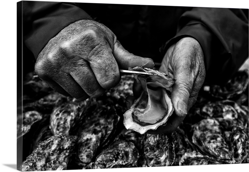 L'Ostreiculteur "Oyster Farmer"