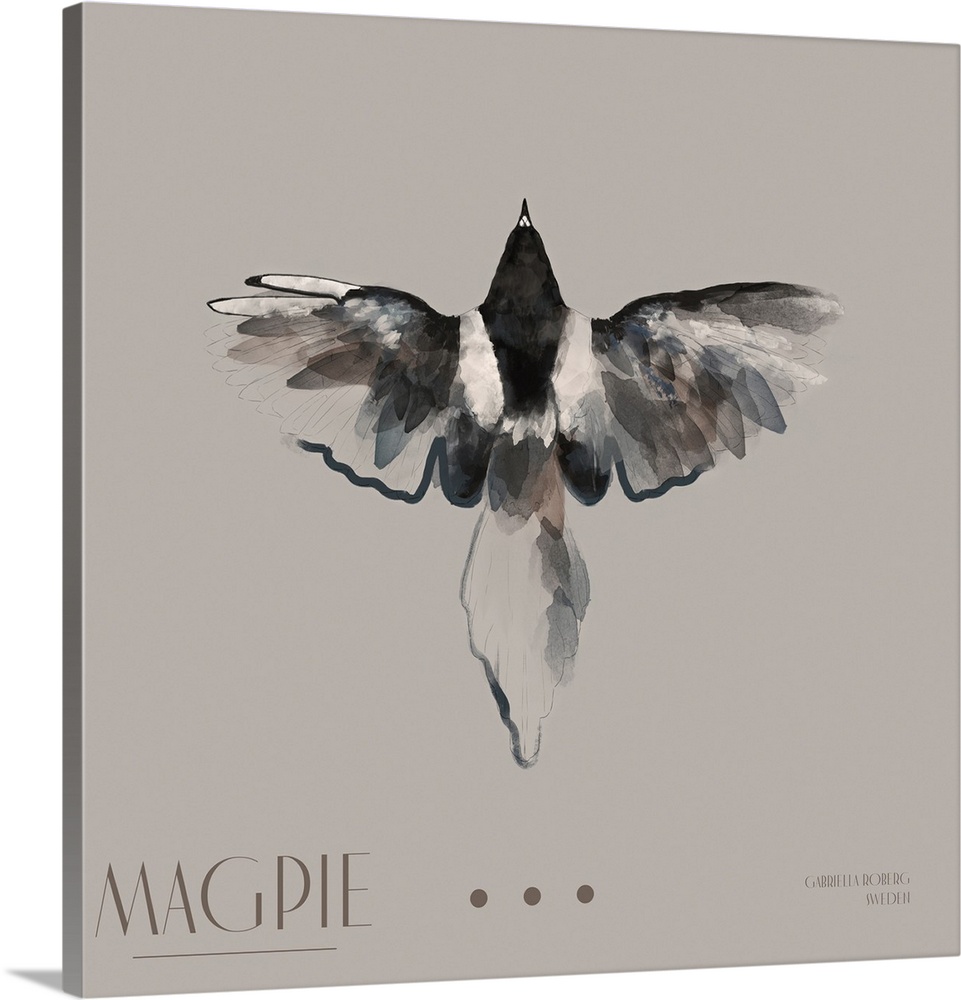 Magpie I