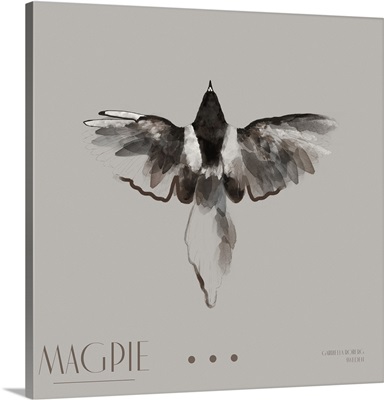 Magpie II