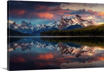Maligne Color