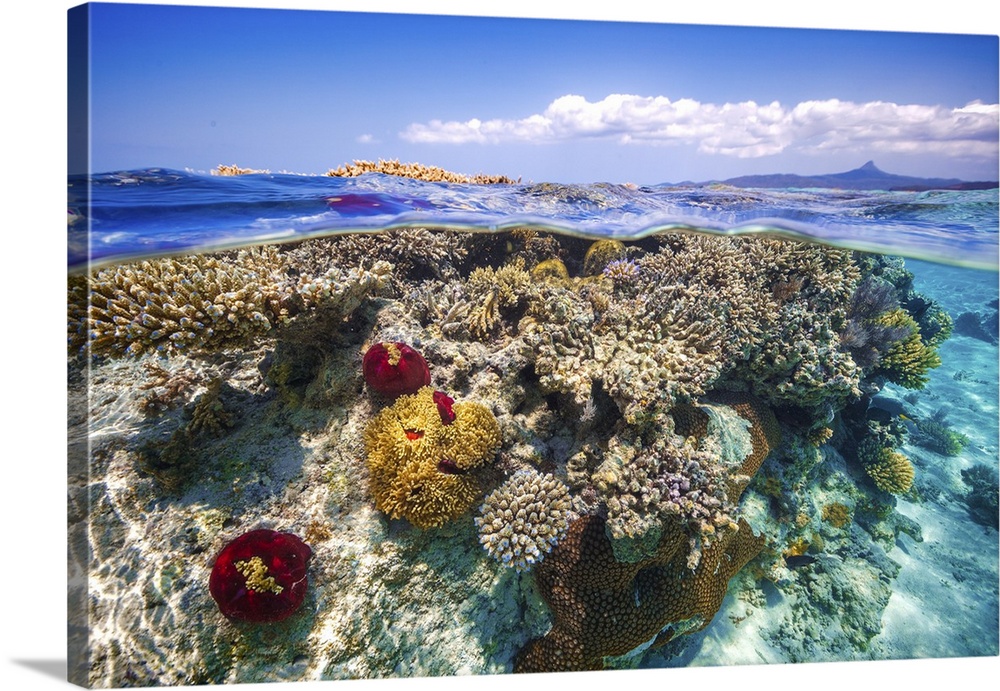 C'eest ca Mayotte, un lagon magnifique, le deuxieme lagon ferme du monde en superficie.
La particularitee de cet ile est ...