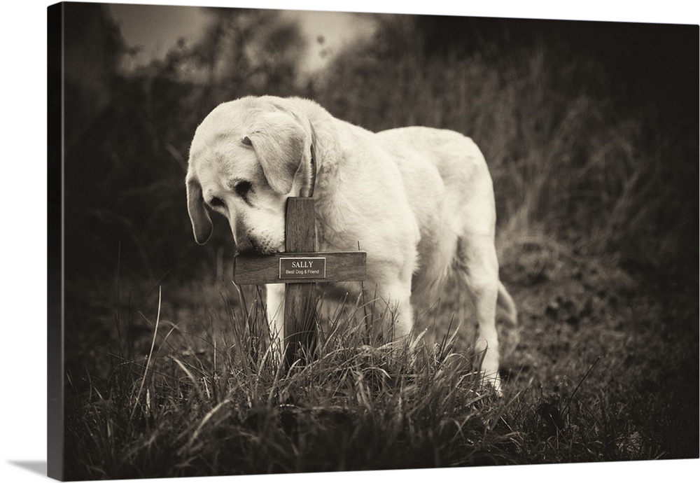 A dog mourning at a grave with a wooden cross.
