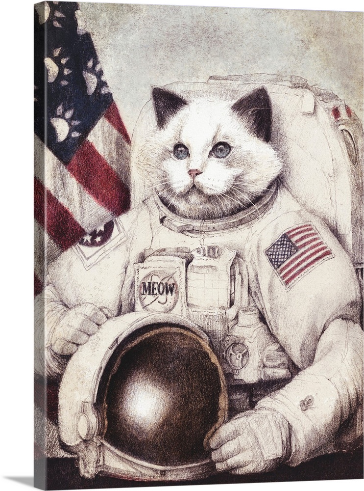 Meow Out Of Space