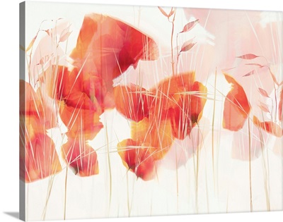Modern Poppies