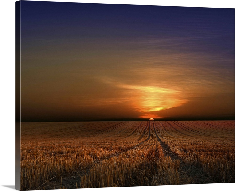 The rising sun casts a bright glow on the clouds over a wheat field.
