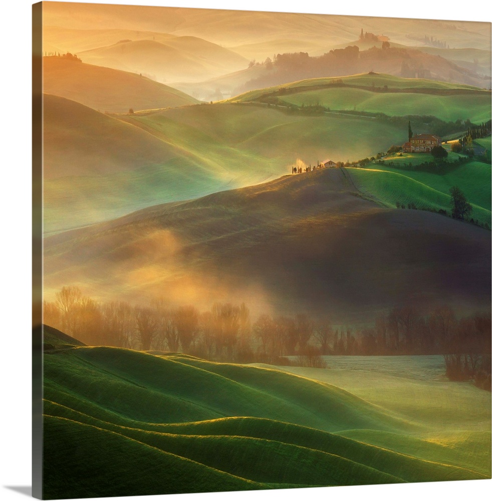 A Tuscan countryside landscape bathed in early morning light and low lying fog.