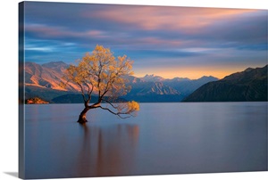 Morning Glow image thumbnail