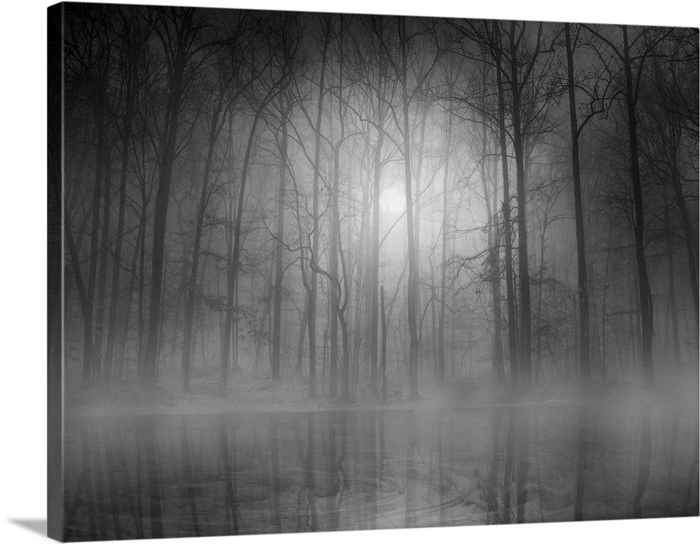 An eerie foggy forest scene casting its reflection in the water below.