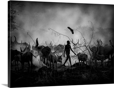Mundari's Cows Shadows, South Sudan, 2021