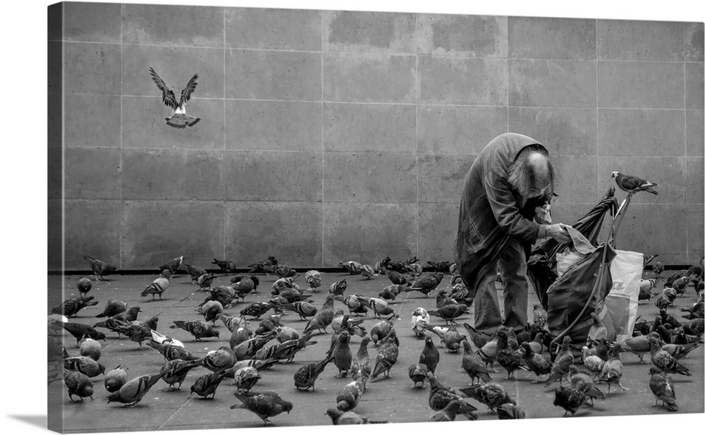 A man feeding a flock of pigeons in the streets of Paris.