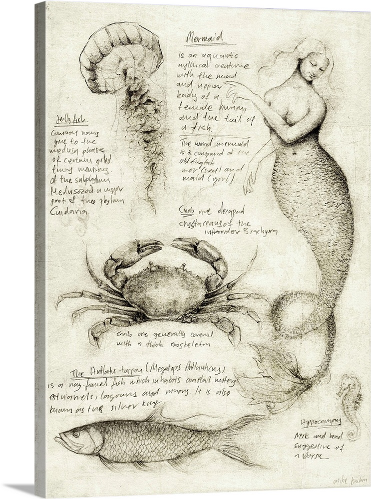 Mythical And Marine Creatures