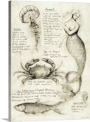 Mythical And Marine Creatures