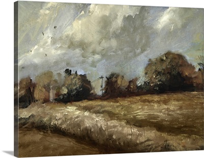 Oak Trees