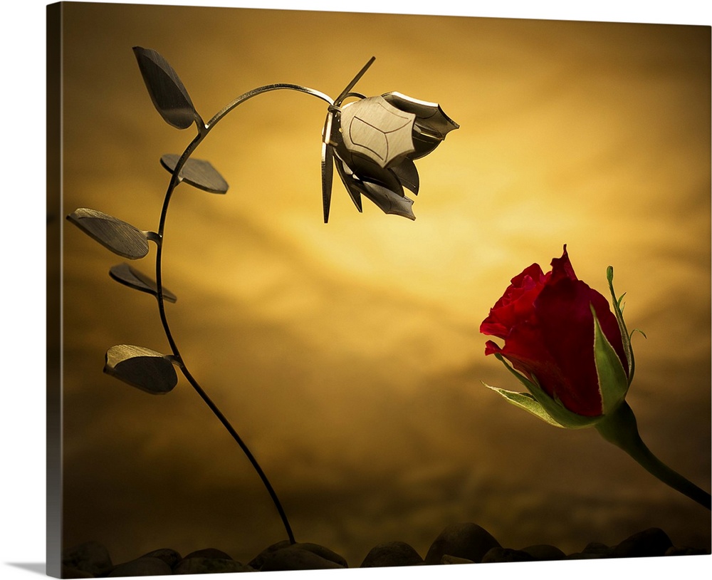 Conceptual photo of a real rose and one made out of metal.