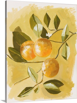 Orange Tree