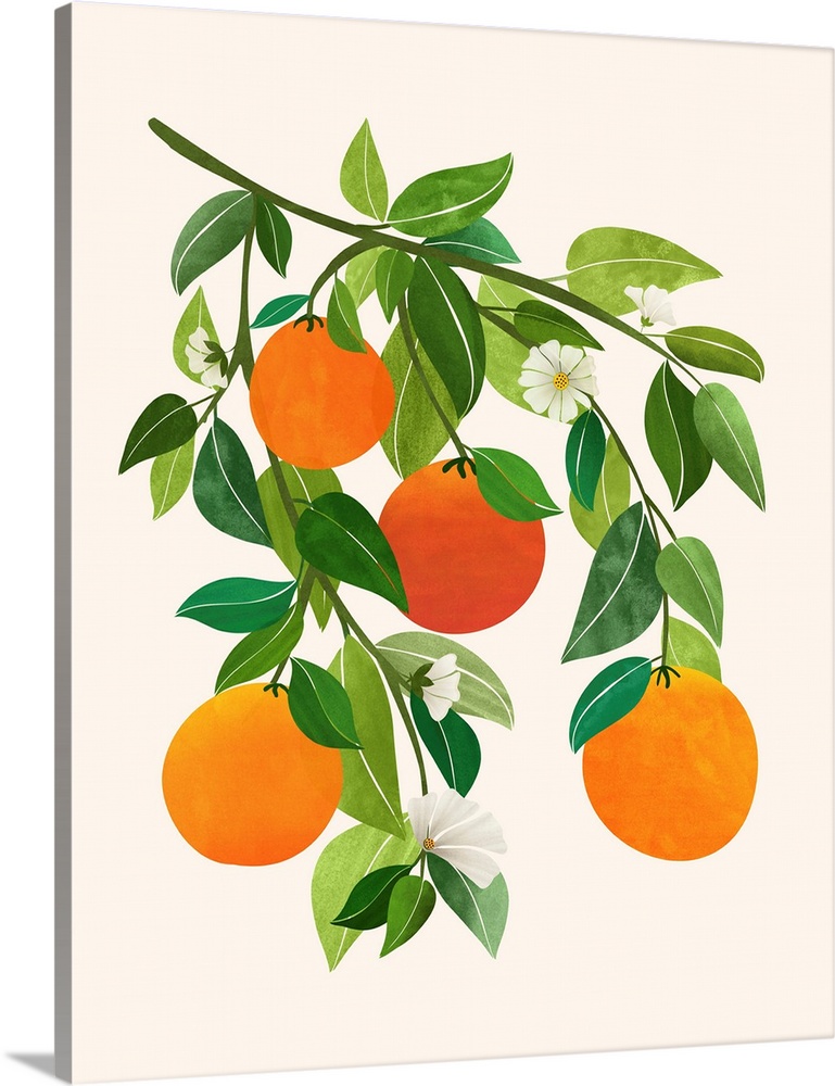 Oranges And Blossoms II