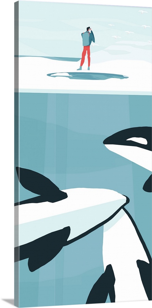 Orcas