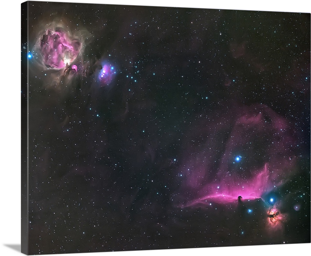 Orion Nebula and The Horsehead
