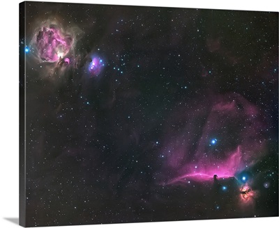 Orion Nebula and The Horsehead