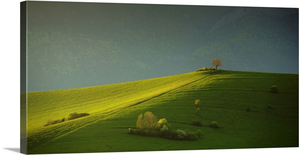A verdant hill with warm sunlight in a valley in Slovakia.