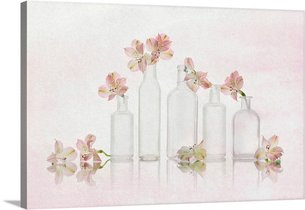 Peruvian-Lily Gethering