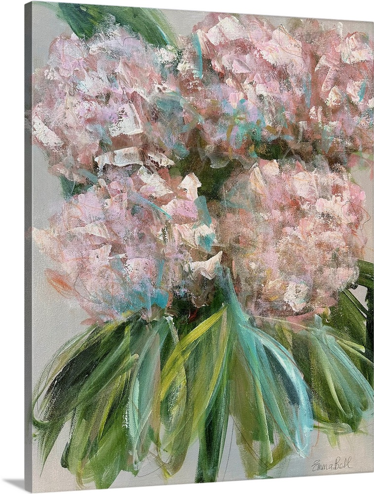 Pink Hydrangea Bloom