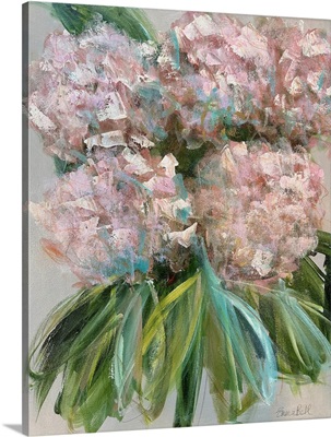 Pink Hydrangea Bloom