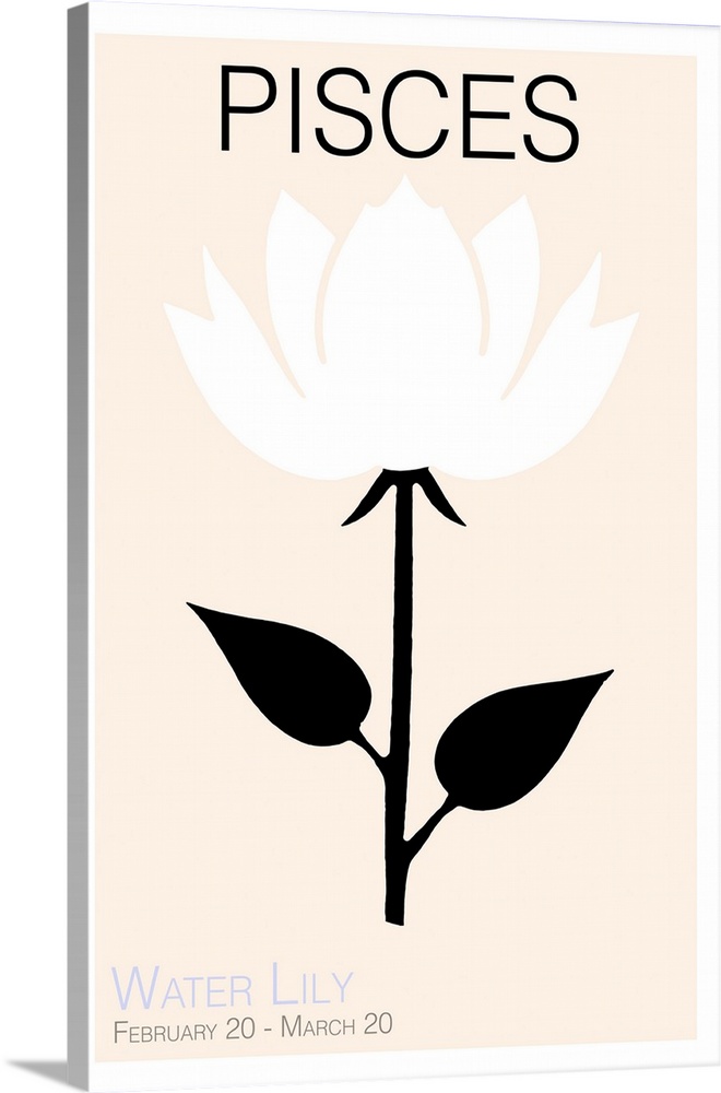 Pisces Water Lily