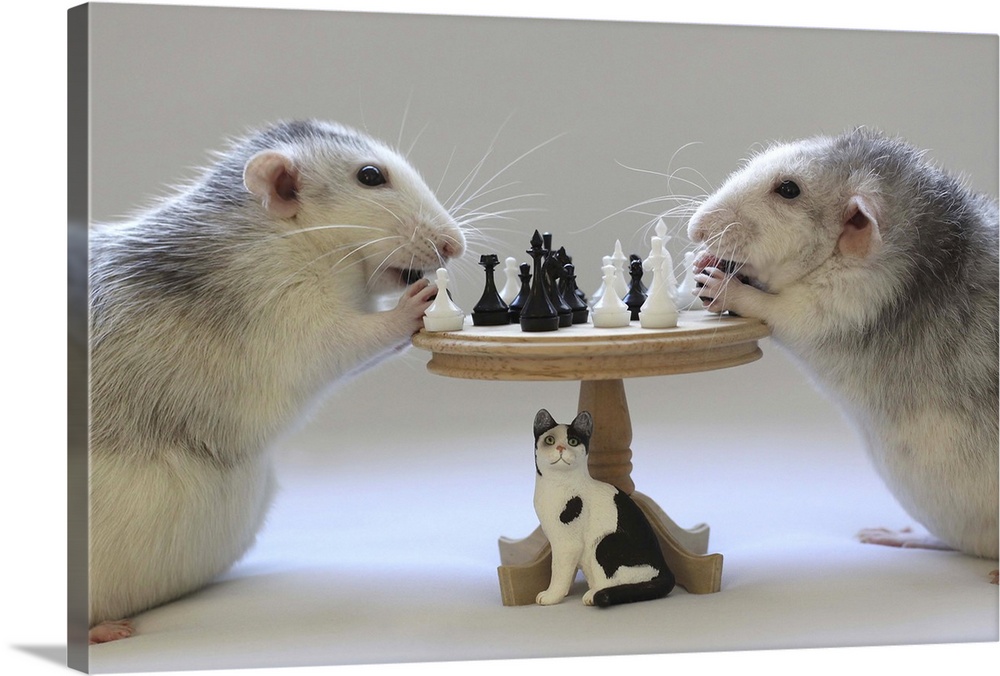 Two rats playing with a miniature chessboard.