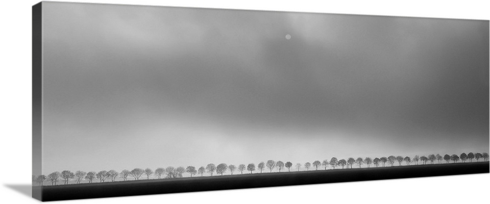 Panoramic landscape lined with trees under hazy clouds and a dim sun.