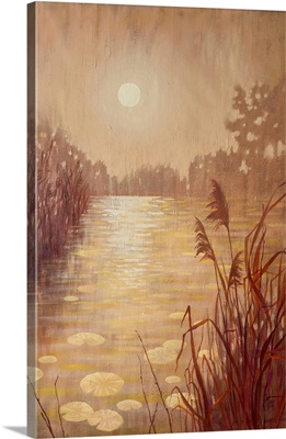 Pond With Reeds At Sunset