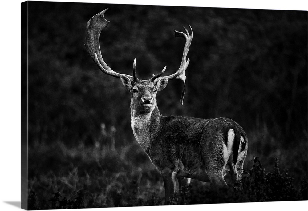 Ready For The Love Season