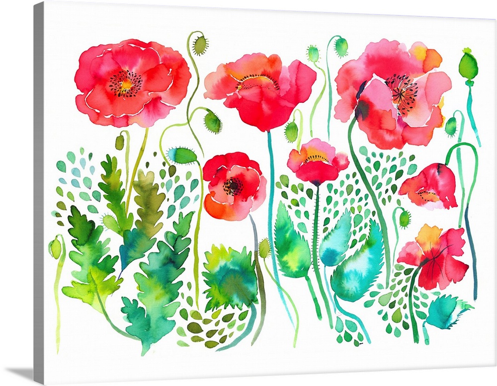 Red Spring Poppies Meadow