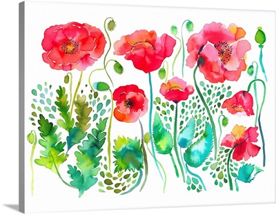 Red Spring Poppies Meadow