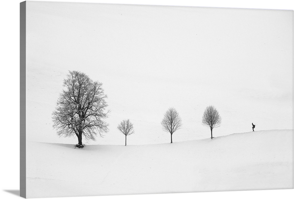 Minimalist image of a row of three small trees with one larger tree and a skier.