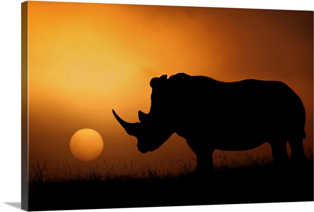 A rhinoceros stands in silhouette in the African Savannah with the sun setting in the distance.